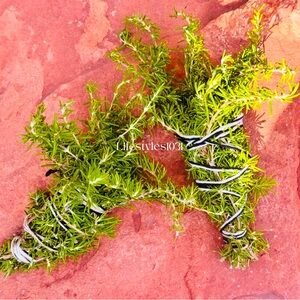 Sedona Mountains Organic Rosemary Bundles